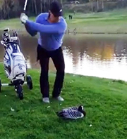 Golf Sopasıyla &Ouml;rdeğin Başını Kopardı