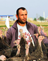 G&uuml;ng&ouml;r, İsak