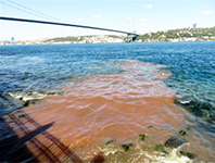 Kurban Bayramı'nda İstanbul Boğazı