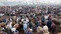 Kurban Pazarı