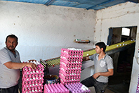 Tekeli, Mustafa