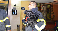 Zeytin