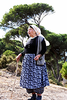 Fıstık &Ccedil;amları Kesilmesin