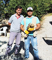 Temizlik İş&ccedil;ileri Yolda Kızıl Şahin Buldular