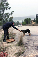 Kuki, Buğra