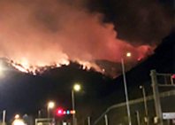 Sürmene'de Orman Yangını