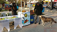 Atık Yağ Kampanyası