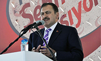 Eroğlu, Veysel