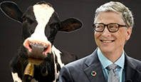 Gates, Bill