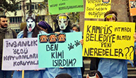 Hayvanlar Nerede?