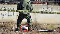 Torbada &Ouml;l&uuml; Kedi