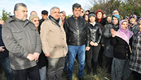 Zeytin Ağa&ccedil;larının S&ouml;k&uuml;lmesine Tepki