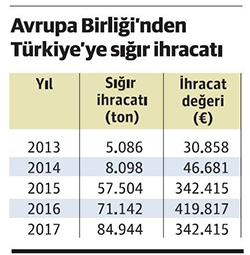 Avrupa Birliği'nden Türkiye'ye Sığır İhracatı