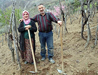 Doğayı Bırakamayıp Geri D&ouml;nd&uuml;ler