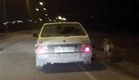K&ouml;peği Dikiz Aynasına Bağlayıp Koşturdu