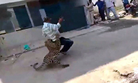 Leopar Dehşeti