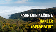 Orman'ın Bağrına Han&ccedil;er Saplamayın