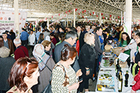 Tohum Fide Şenliği