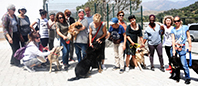 Barınaktaki Sokak K&ouml;peklerini Gezdirdiler