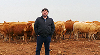 Hacıince, Ahmet