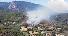 Karab&ouml;rtlen'de Orman Yangını
