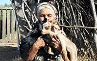 Tekel, Ayşe