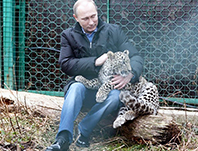 Putin'in Leoparı