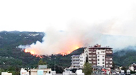 Hatay'da Orman Yangını