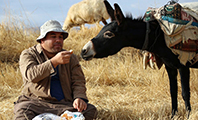 Uğurlu, Ali