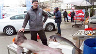 Marmara'da Yakalandı