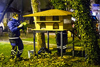 Pati Bek&ccedil;ileri