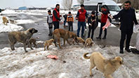 Har&ccedil;lıklarıyla Sokak Hayvanlarına Yiyecek Aldılar