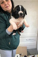 L&uuml;y, Ayşeg&uuml;l