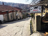 Dikkat! Kedi &Ccedil;ıkabilir