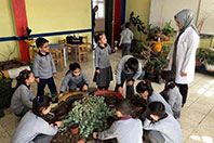 Sınıfı Botanik Parka D&ouml;n&uuml;şt&uuml;rd&uuml;ler