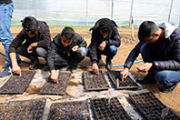 Ata Tohumlarını &Ccedil;oğaltan &Ouml;ğrenciler