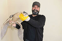 Taner &Ccedil;avlı Balaban Kuşuyla