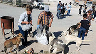 Çöplüğe Terk Edilen Köpeklere Hayvanseverler Sahip Çıktı
