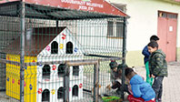 Doğubayazıt Belediyesi Kedi Evi