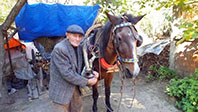 H&uuml;seyin Aşık