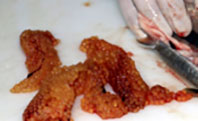 Kefal Yumurtaları