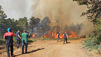Bursa'daki Orman Yangınında Sabotaj Ş&uuml;phesi