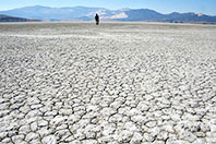 Flamingoların G&ouml;l&uuml; Kurudu