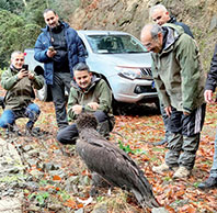 Kartal ve Bakan