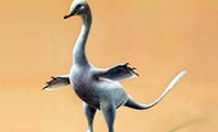 Yeni Bir Dinozor T&uuml;r&uuml; Keşfedildi