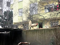 Horoz H&uuml;sn&uuml;