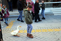 Eren Ay &Ouml;rdeği İle Gezintide