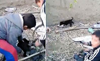 Yavru K&ouml;peğe İşkence Yapan &Ccedil;ocuklar