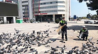 A&ccedil; Kalan Kuşlara Trafik Polisleri Yem Verdi