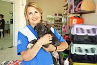 Annesi Yakılan K&ouml;pek İstanbul'da
